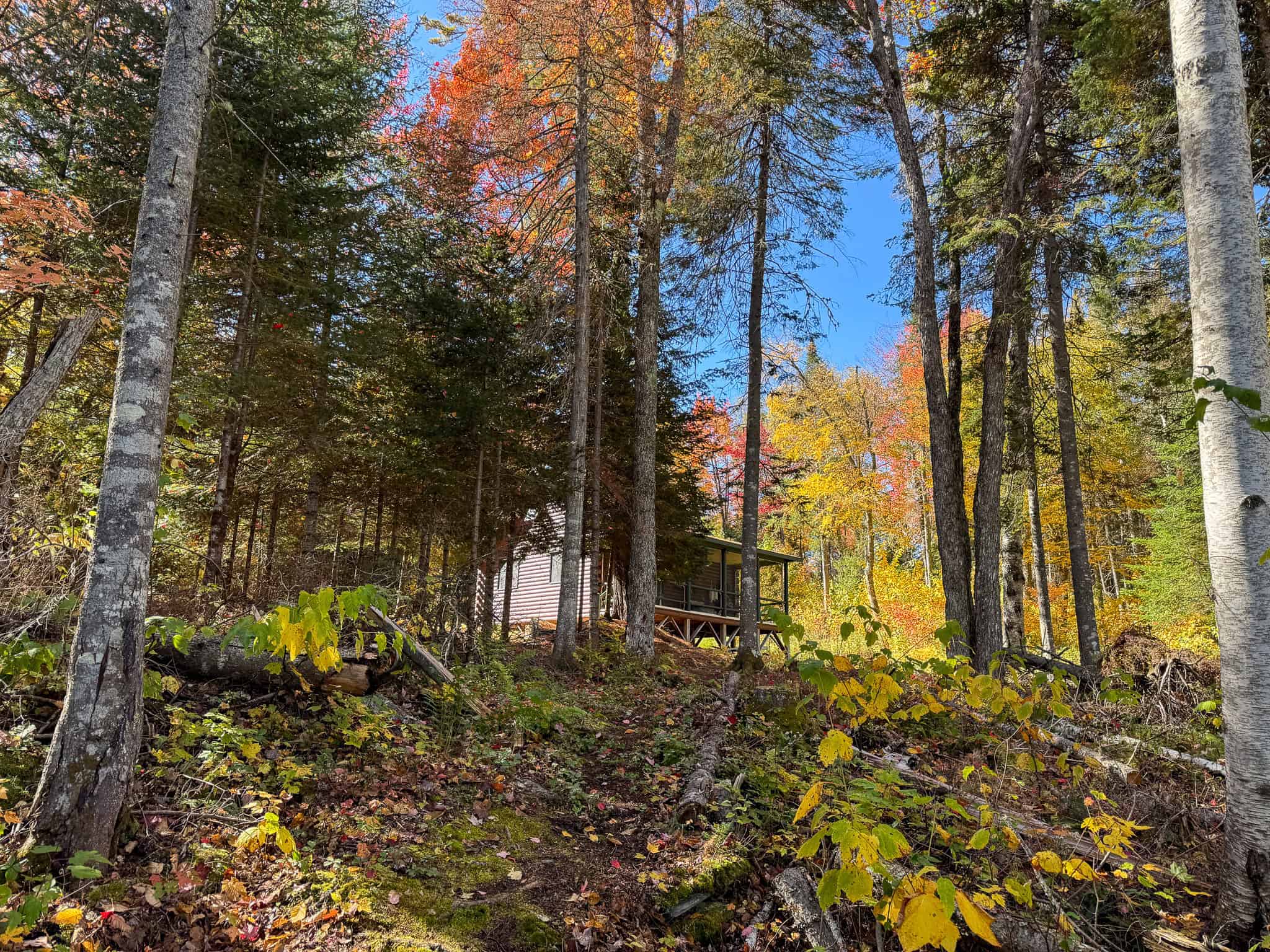 One of a Kind Off-grid Log Cabin Retreat