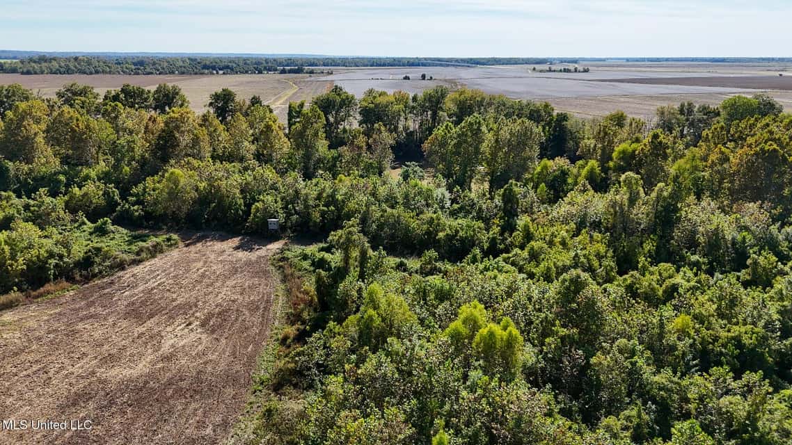 Yazoo River Hunting Tract 78.16 Acres