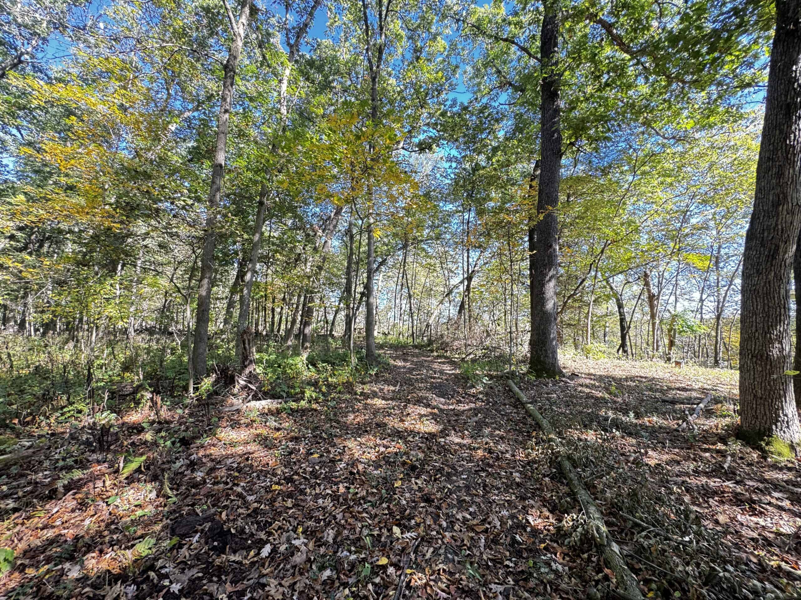 28± acre Sauk County Gem of a Property
