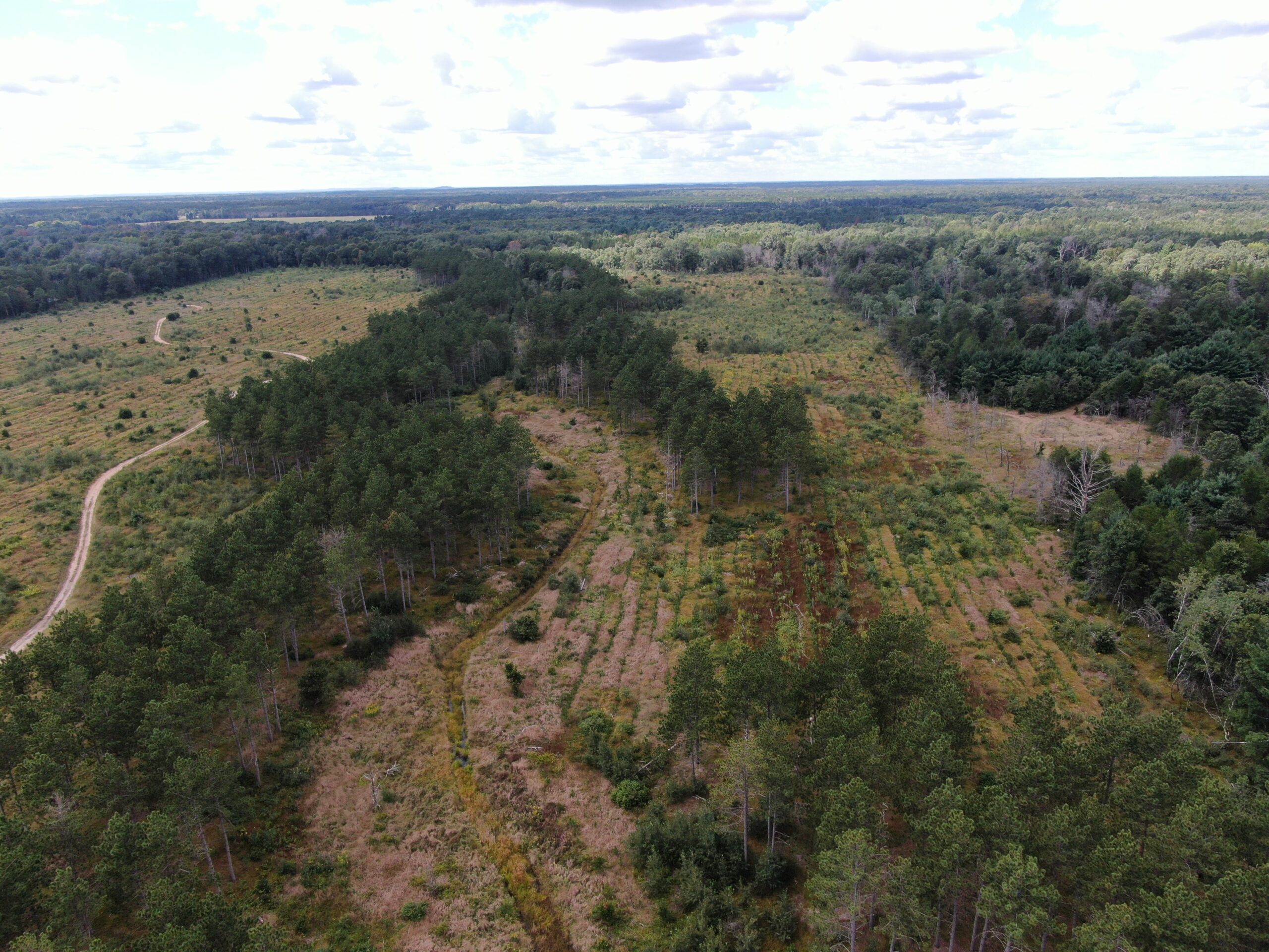 80-acre parcel in the Town of Big Flats