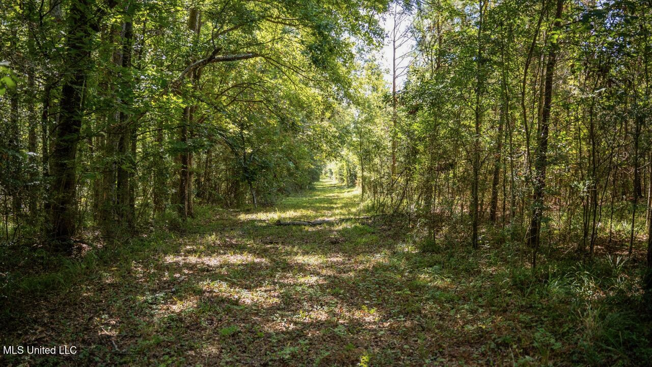 203 Acres in Smithdale MS – Turnkey Hunting Retreat