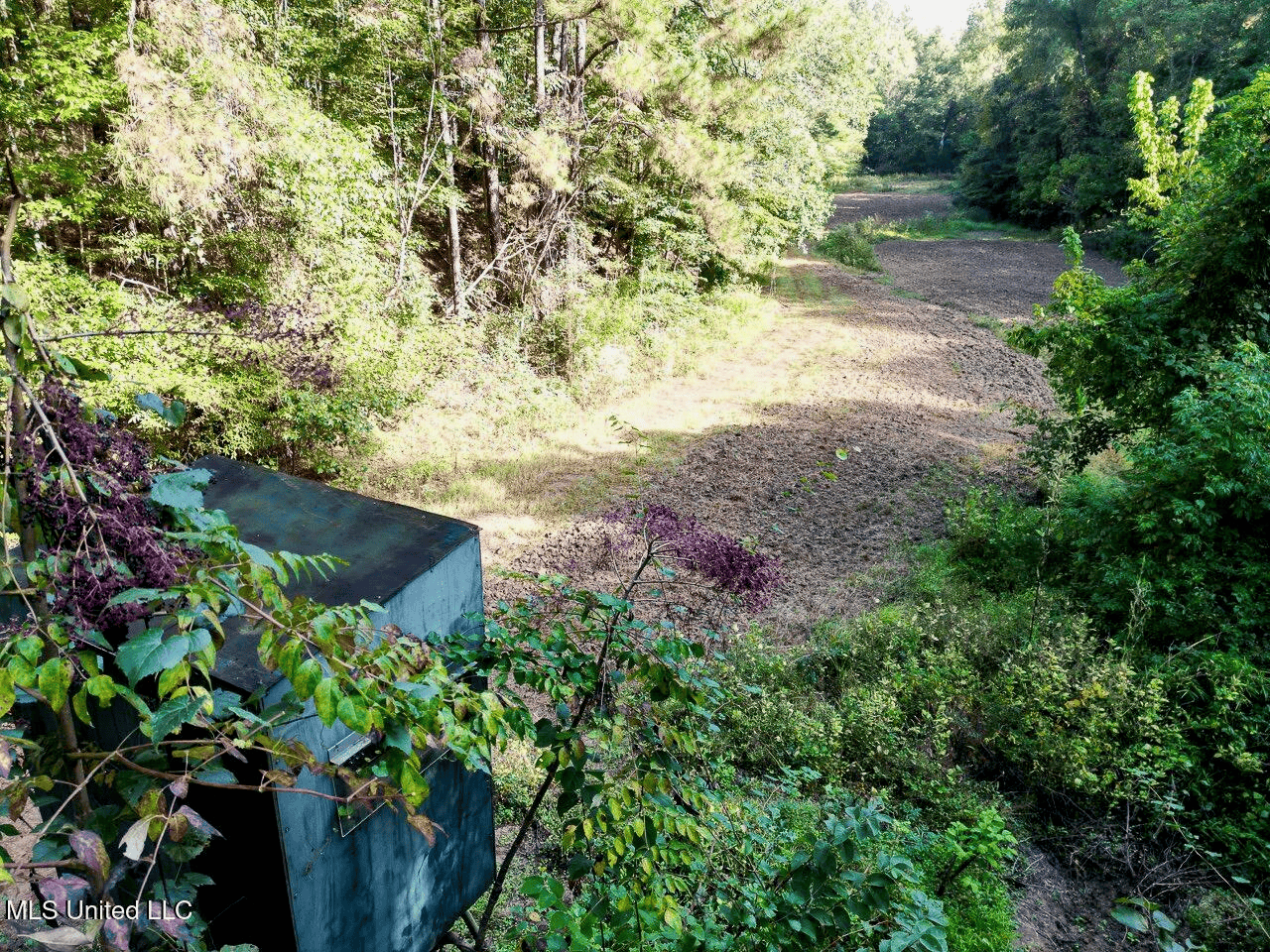 Turkey Roost Lodge in Wilkinson County, Mississippi