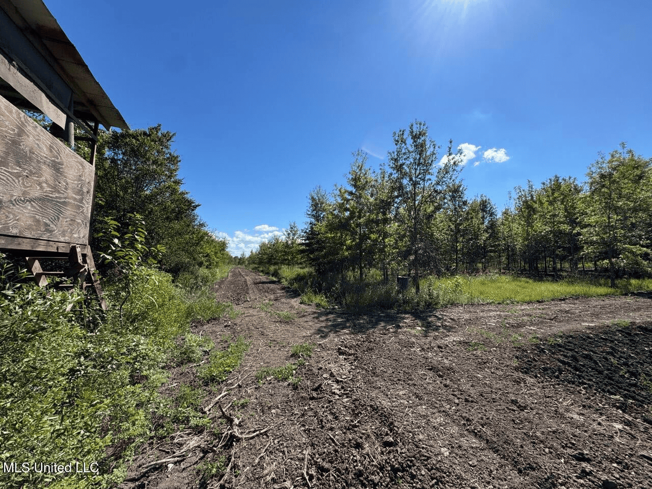 Tensas Parish Land Near Lake St. John – 80 Acres