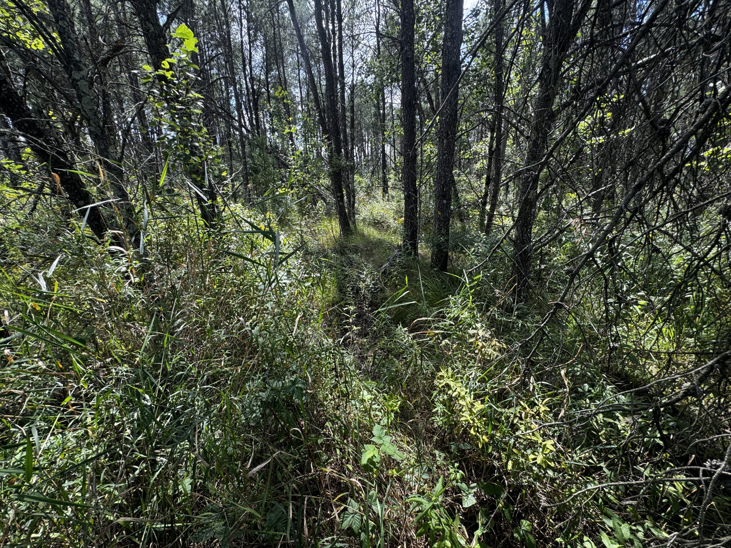 40-acre corner parcel in the Town of Monroe