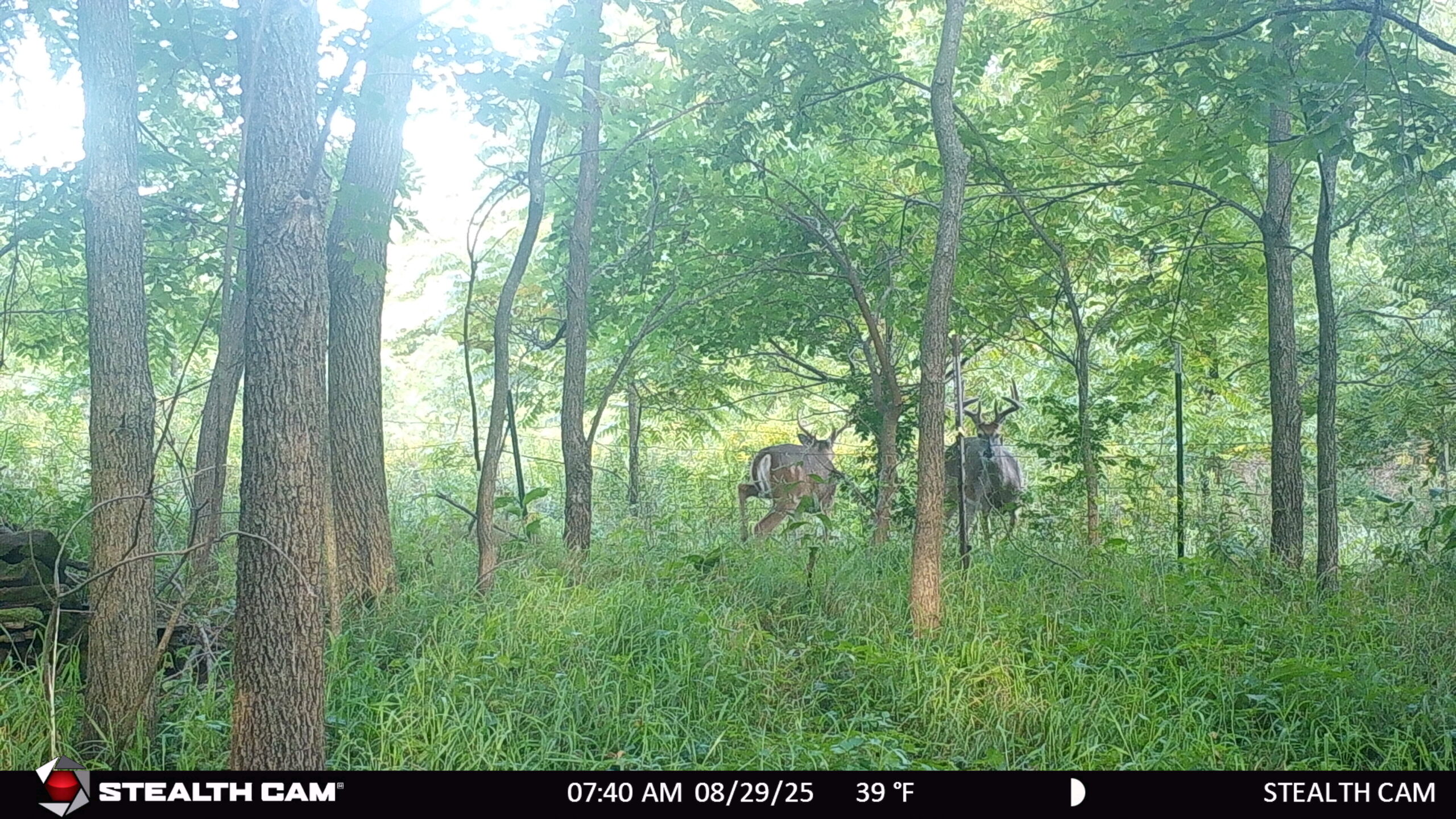 Marquette County 3-Bedroom Ranch on 45+/- Acres