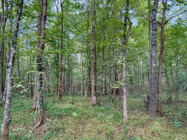Mississippi Land For Sale With A Creek