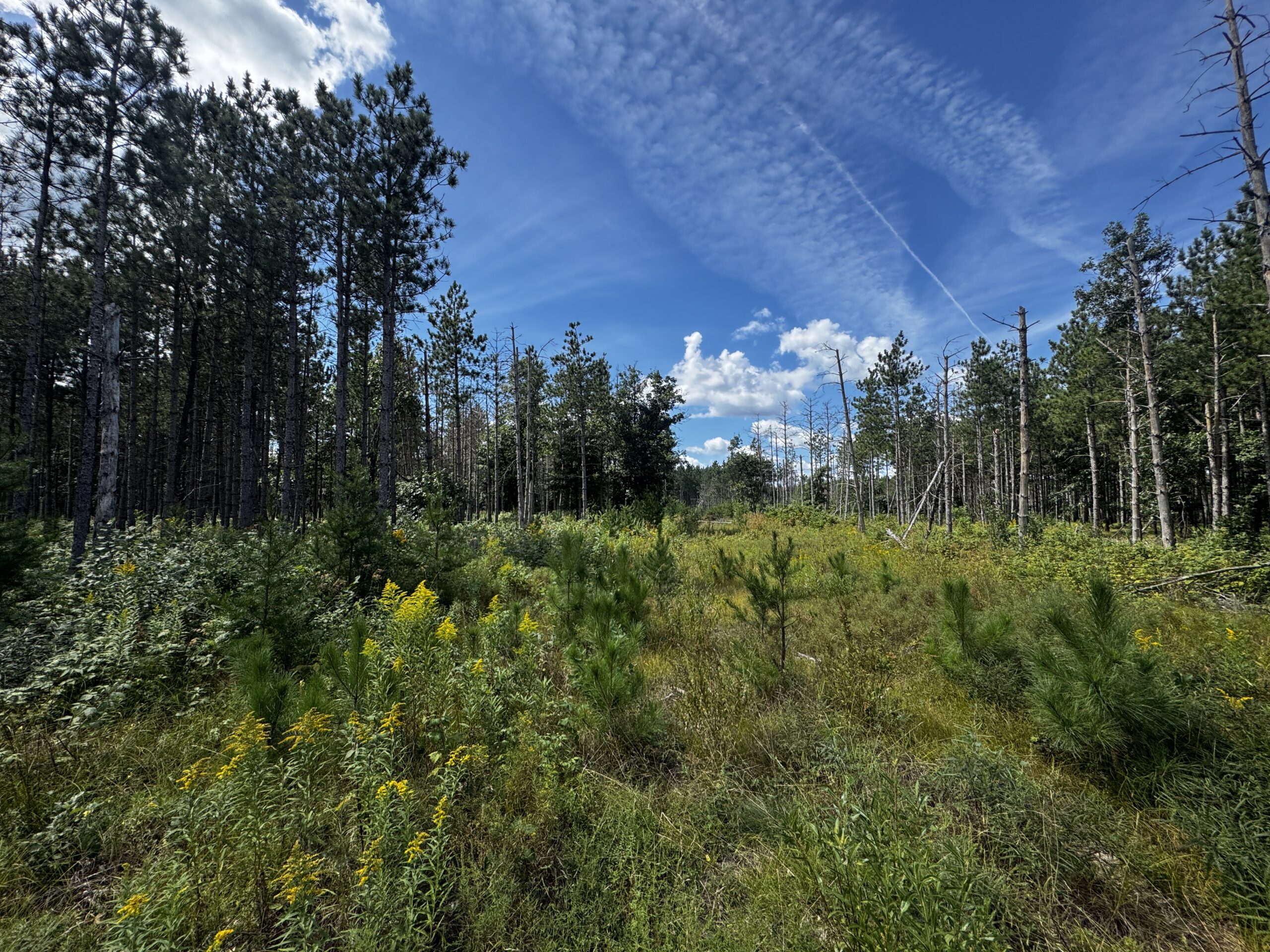 40-acre corner parcel in the Town of Monroe