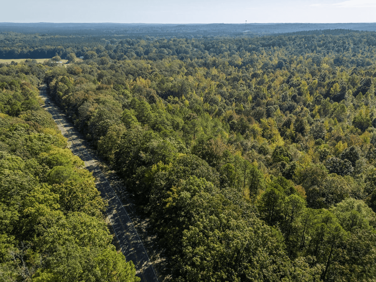 650 Acres Timberland and Lake Site Calhoun County MS