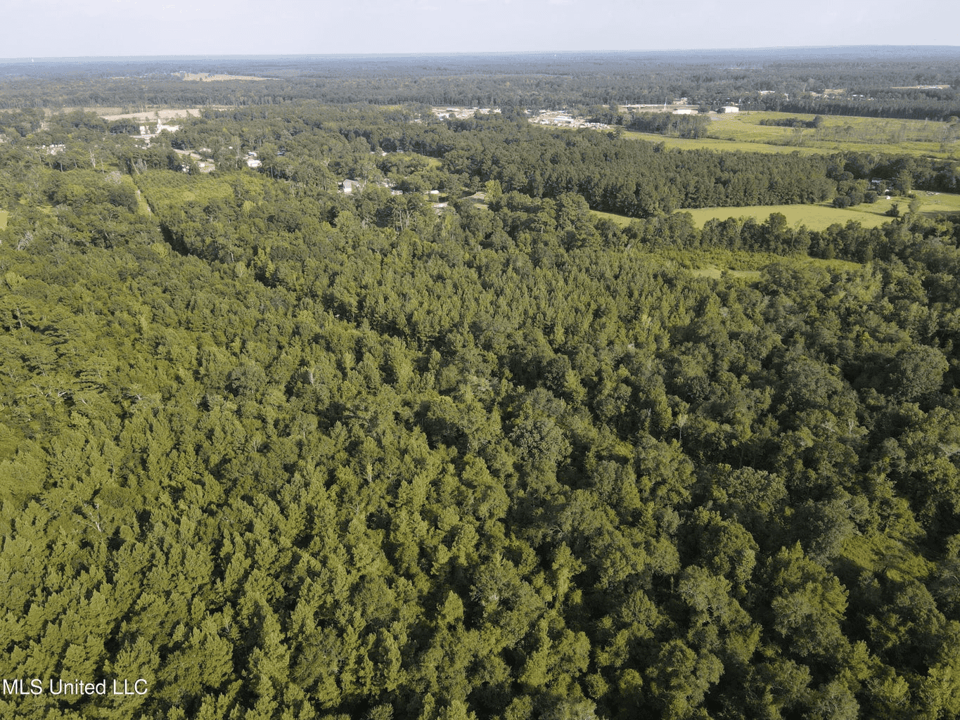 48 Acres for Sale in Jones County, MS Ellisvillle, MS