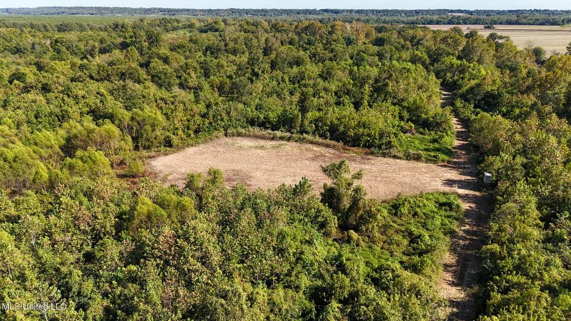 Yazoo River Hunting Tract 78.16 Acres