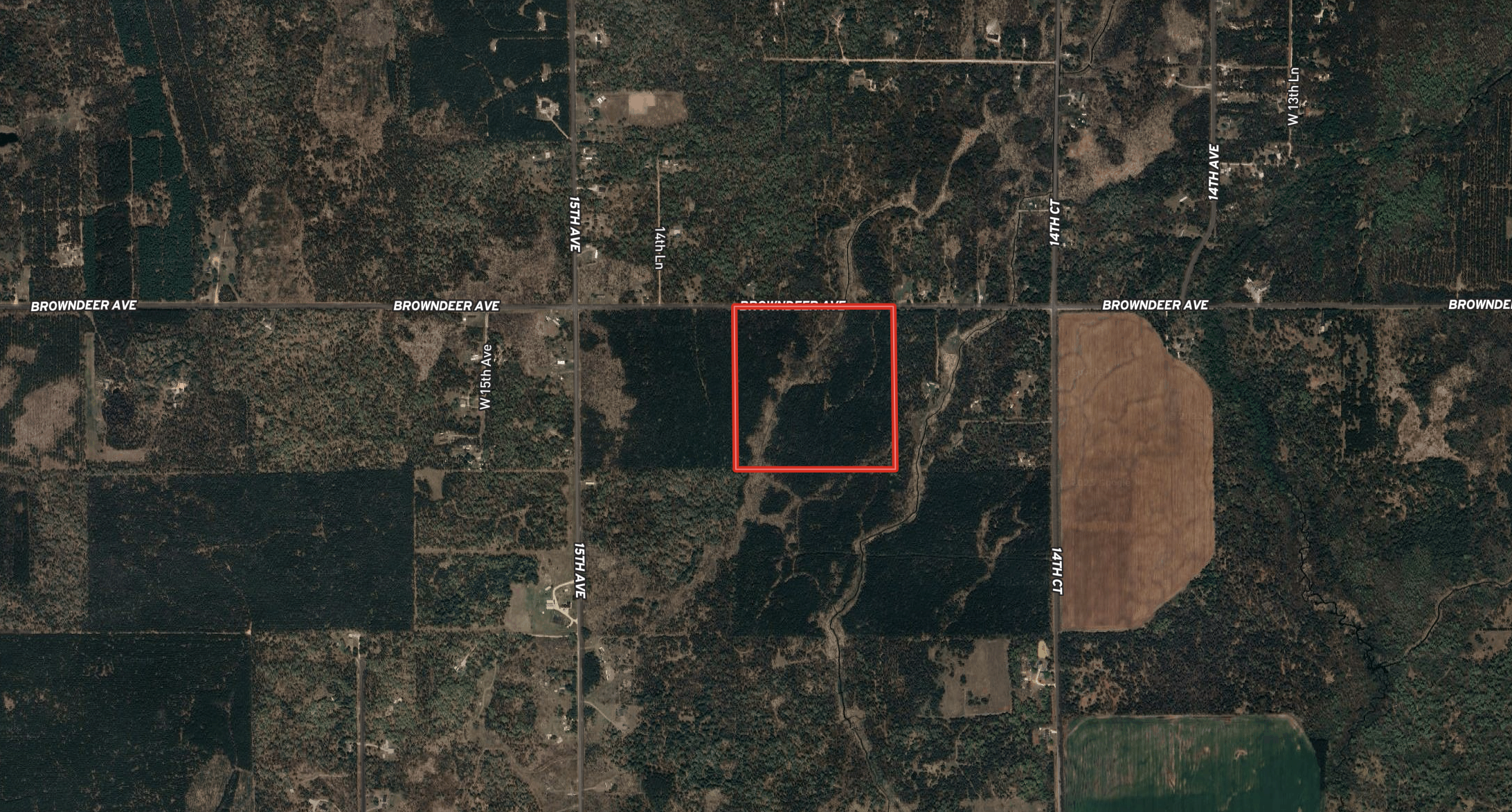 40-acre timbered tract in the Town of Big Flats