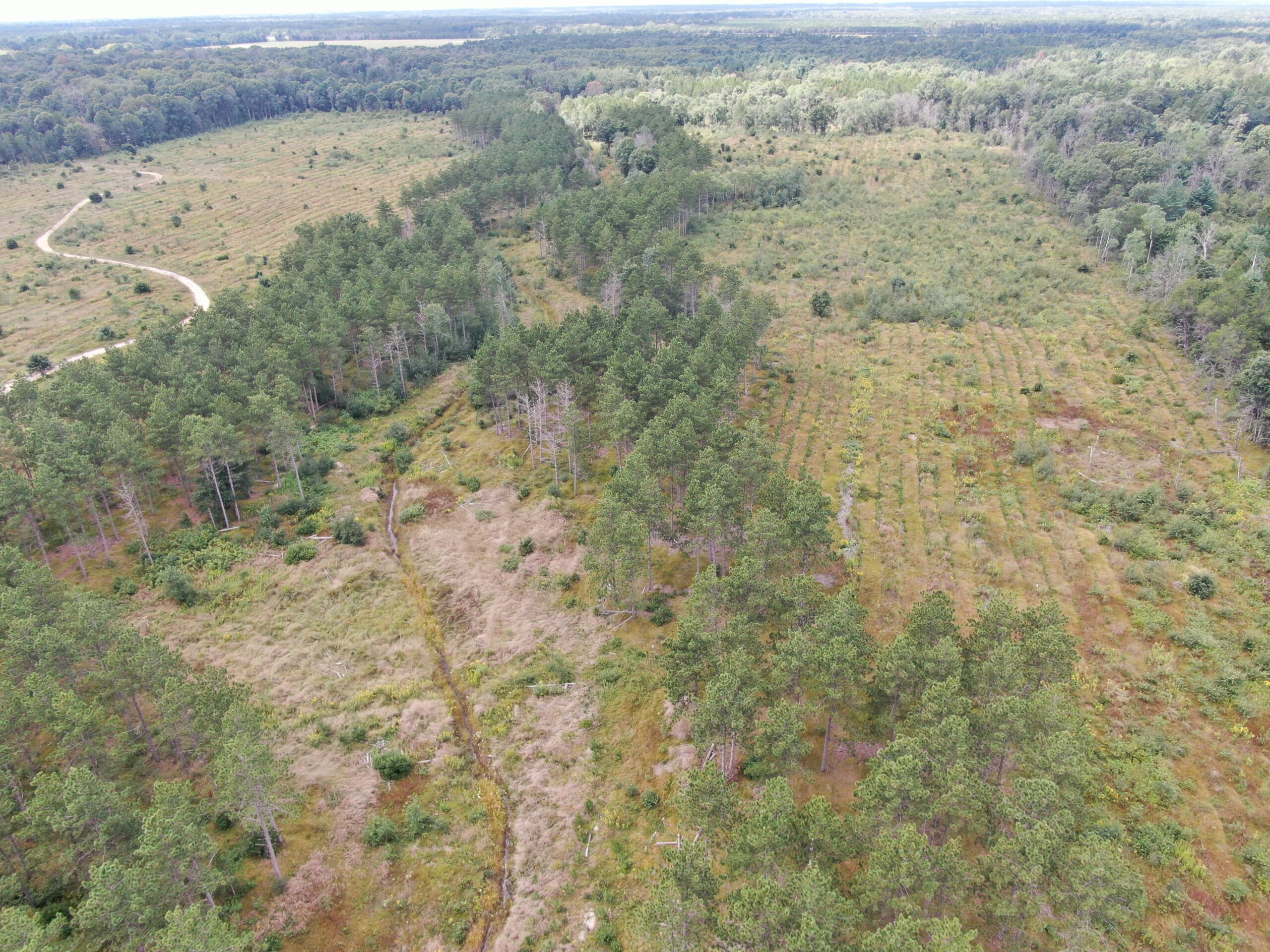 80-acre parcel in the Town of Big Flats