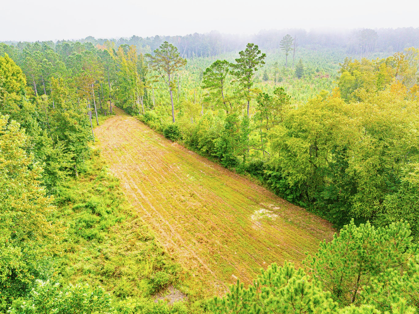 701 Acre Timber & Hunting Land Prentiss Co MS