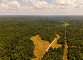 Missouri Ozarks Land for Sale