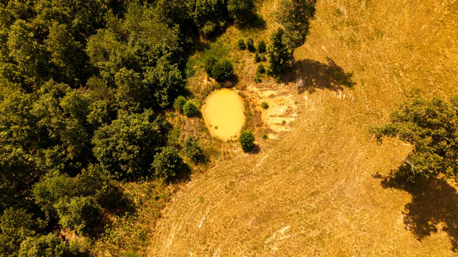 Missouri Ozarks Land for Sale