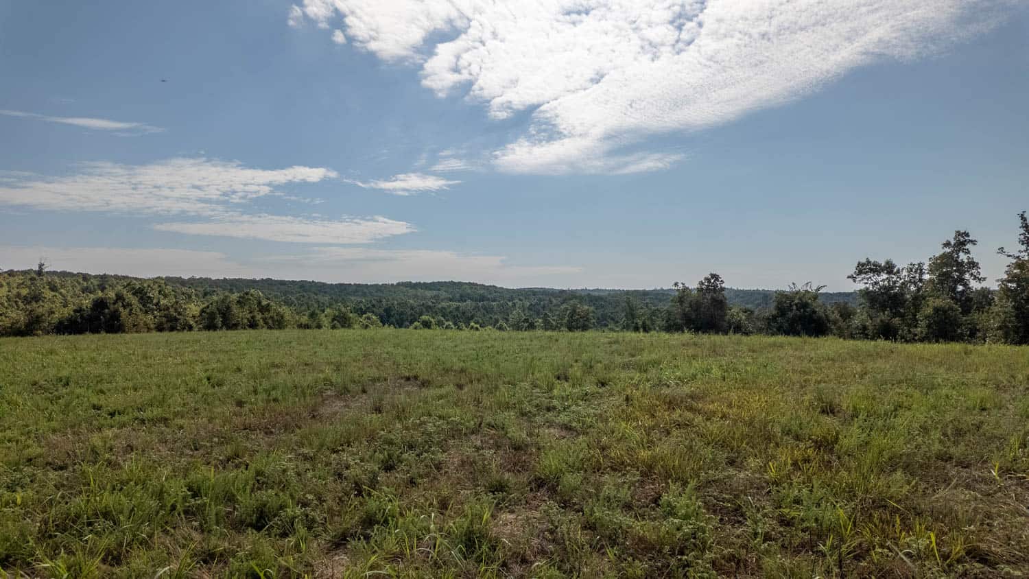 Missouri Ozarks Land for Sale