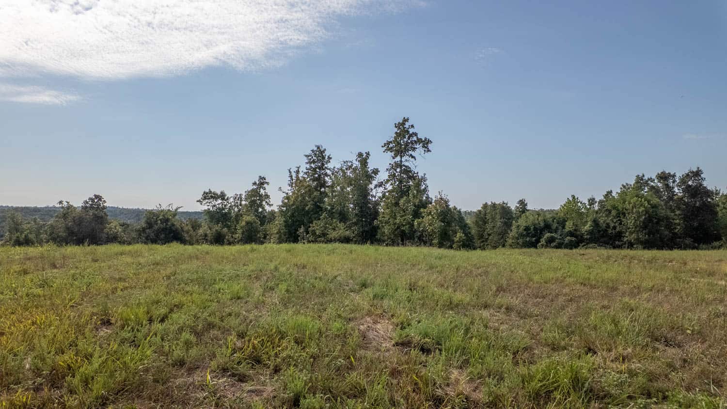 Missouri Ozarks Land for Sale