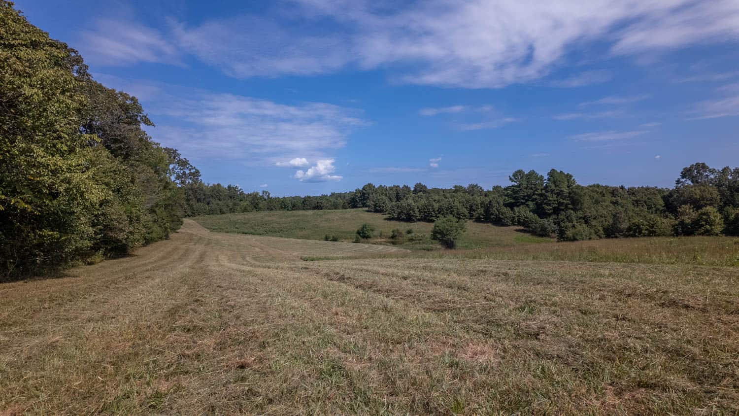 Missouri Ozarks Land for Sale