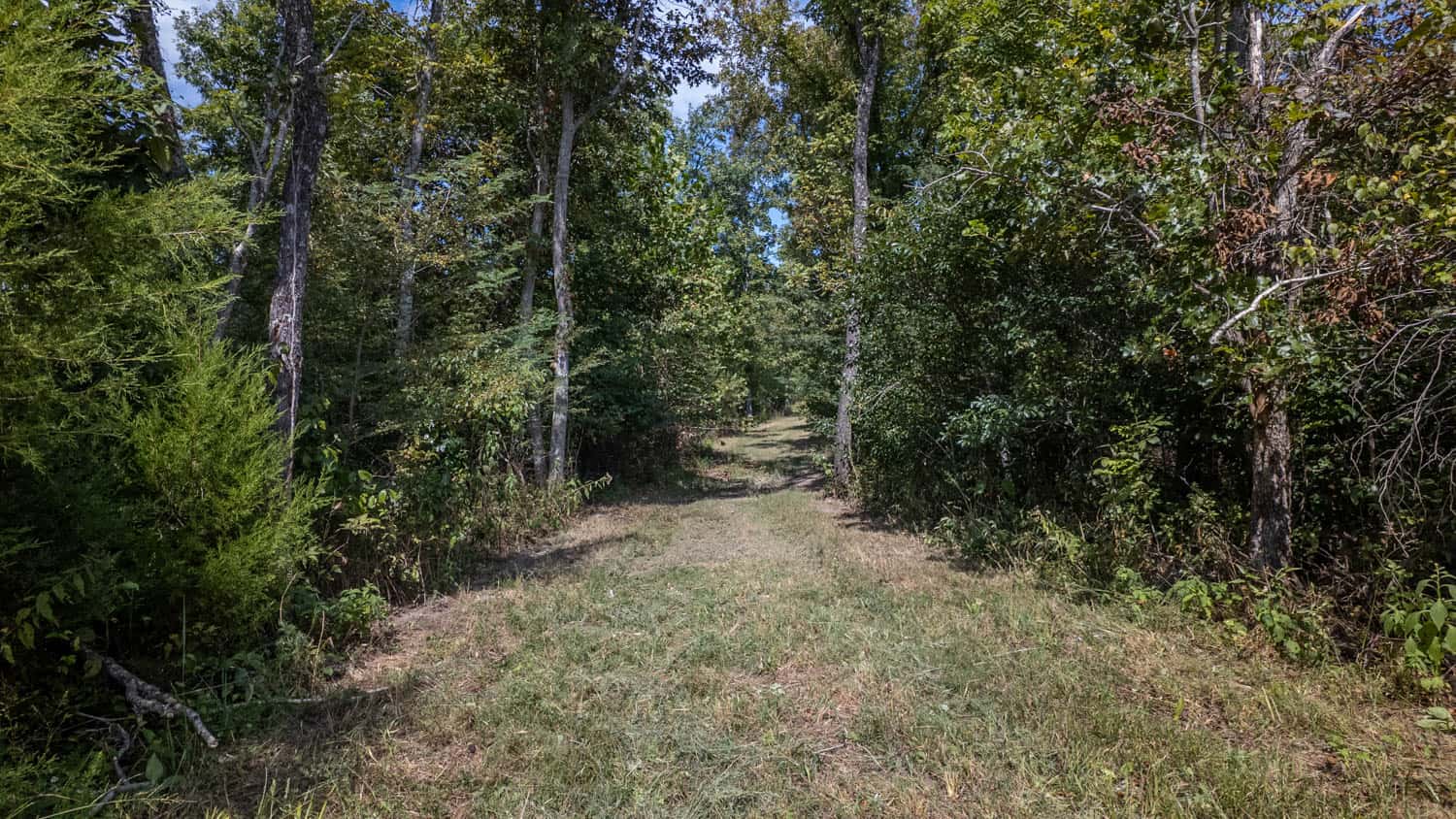 Missouri Ozarks Land for Sale