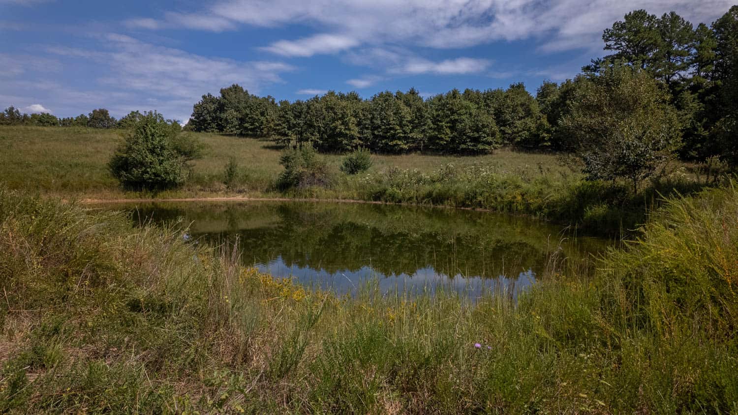 Missouri Ozarks Land for Sale