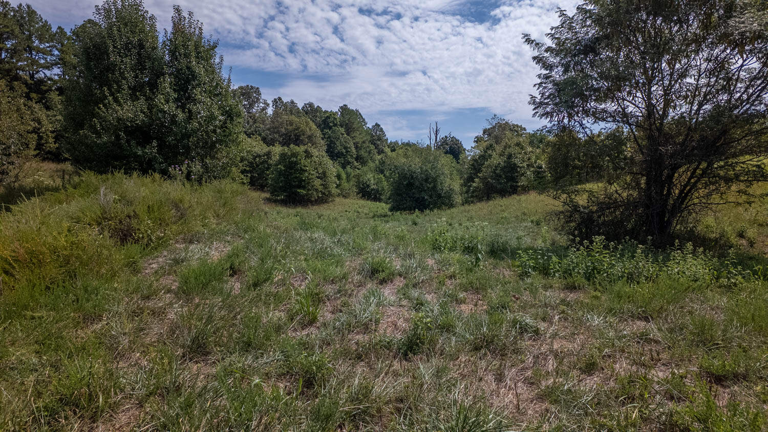 Missouri Ozarks Land for Sale