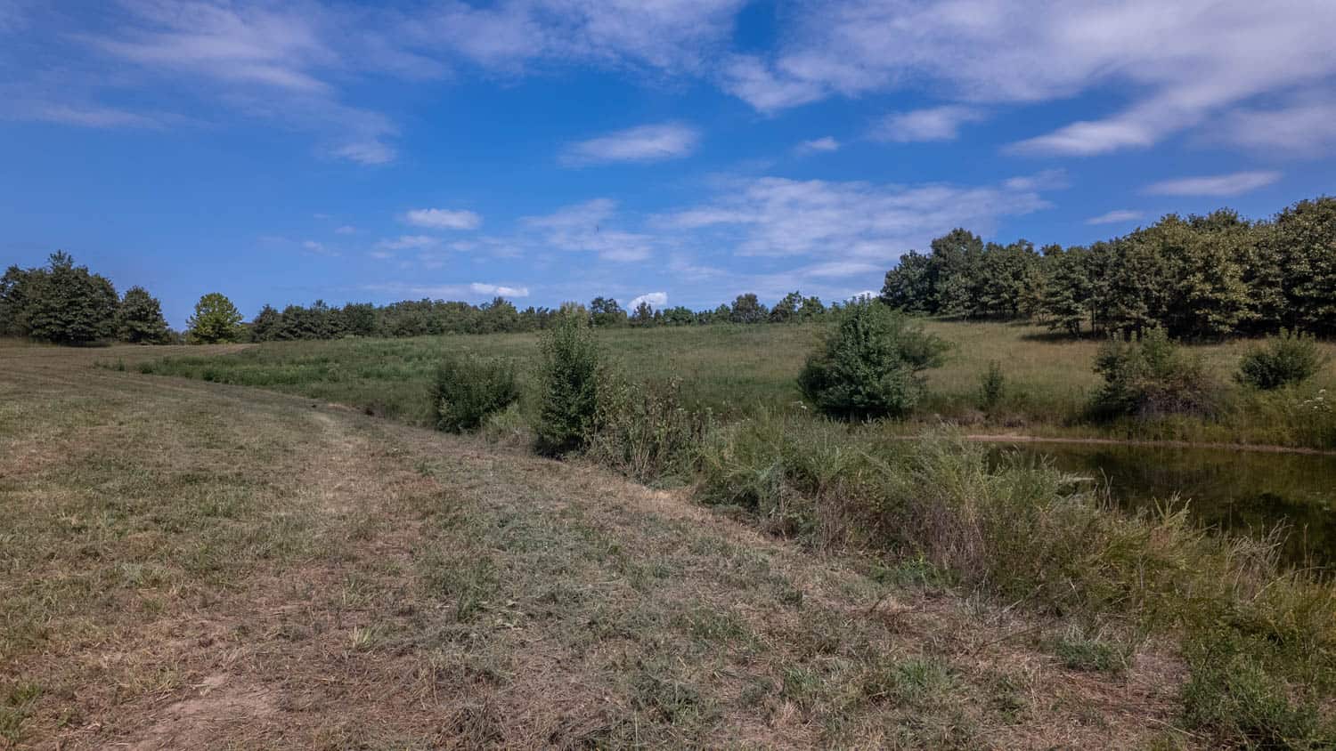 Missouri Ozarks Land for Sale