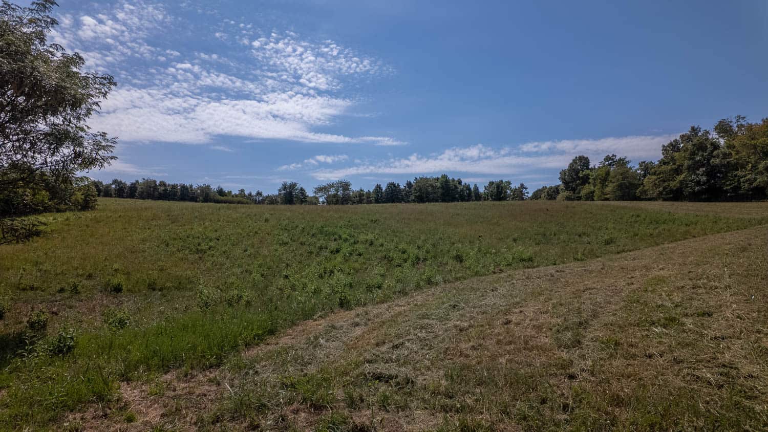 Missouri Ozarks Land for Sale