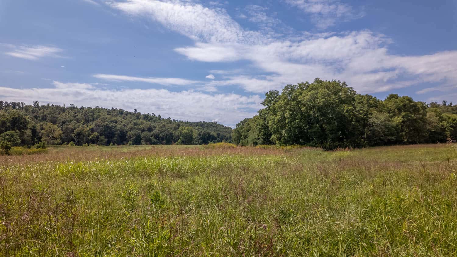 Missouri Ozarks Land for Sale