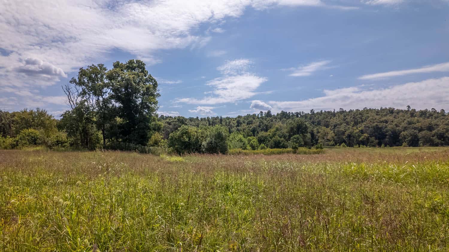 Missouri Ozarks Land for Sale