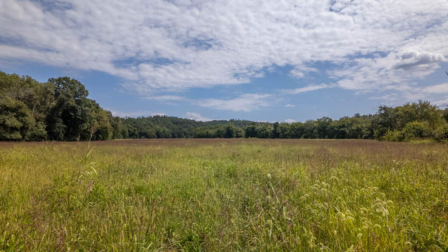 Missouri Ozarks Land for Sale