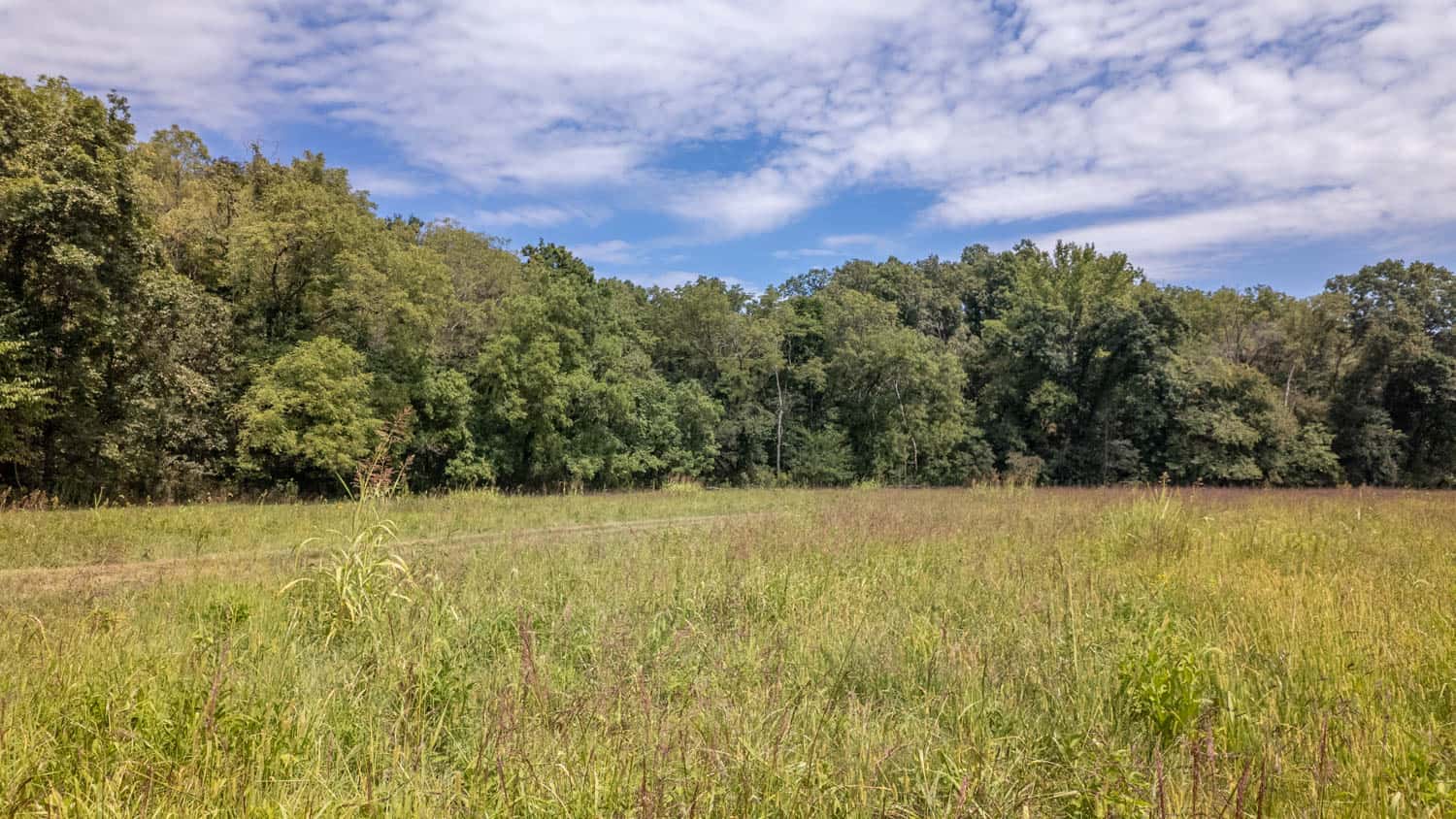 Missouri Ozarks Land for Sale