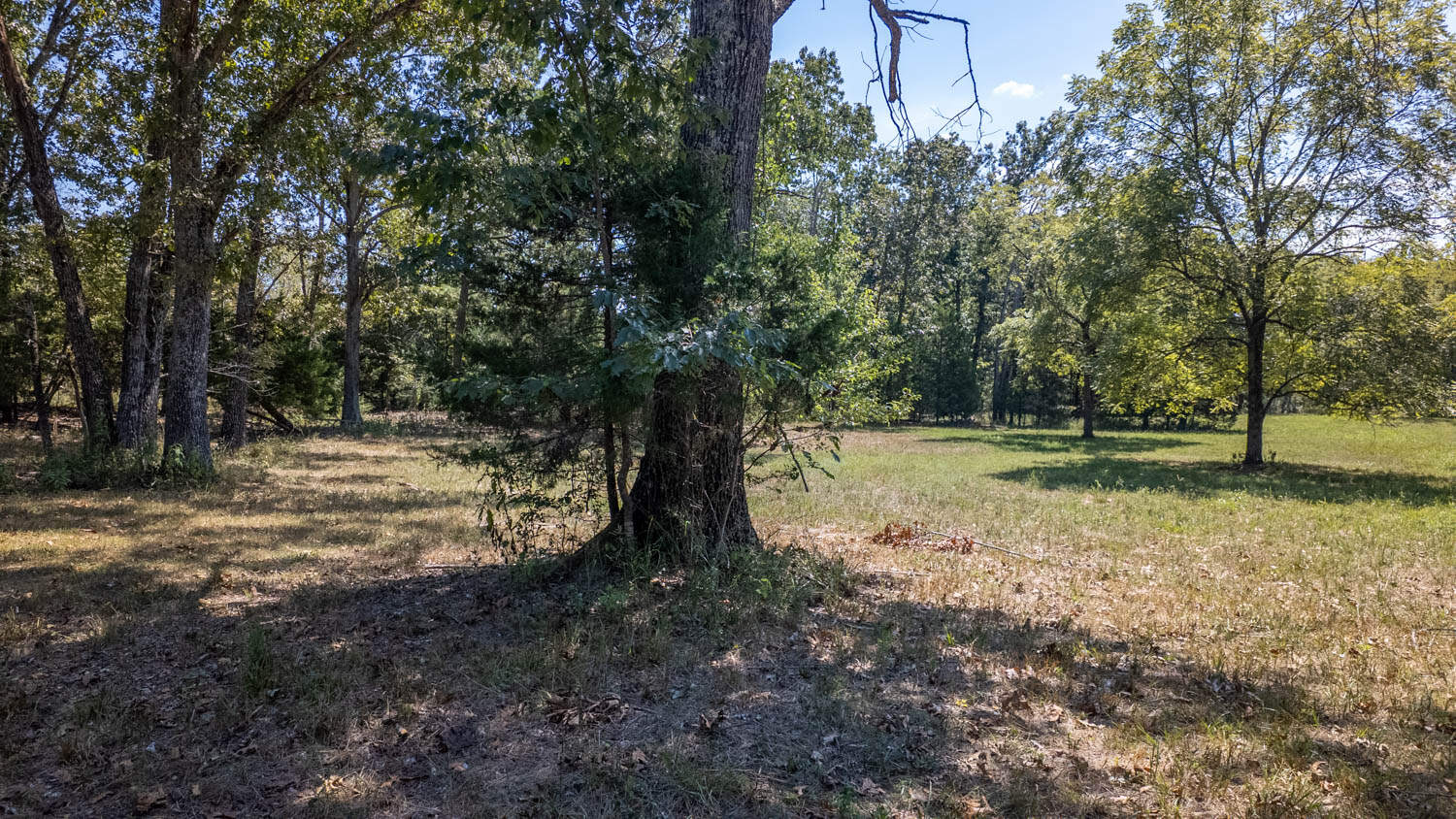 Missouri Ozarks Land for Sale