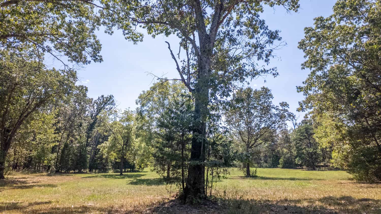 Missouri Ozarks Land for Sale