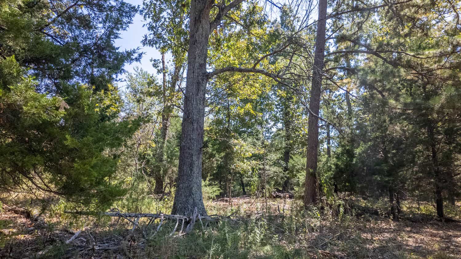 Missouri Ozarks Land for Sale
