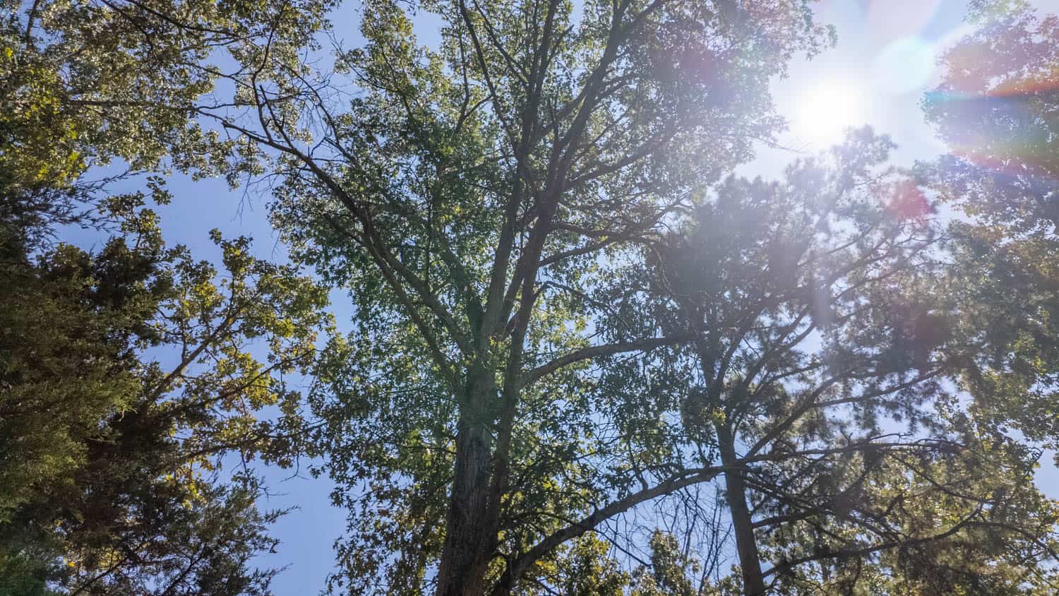 Missouri Ozarks Land for Sale