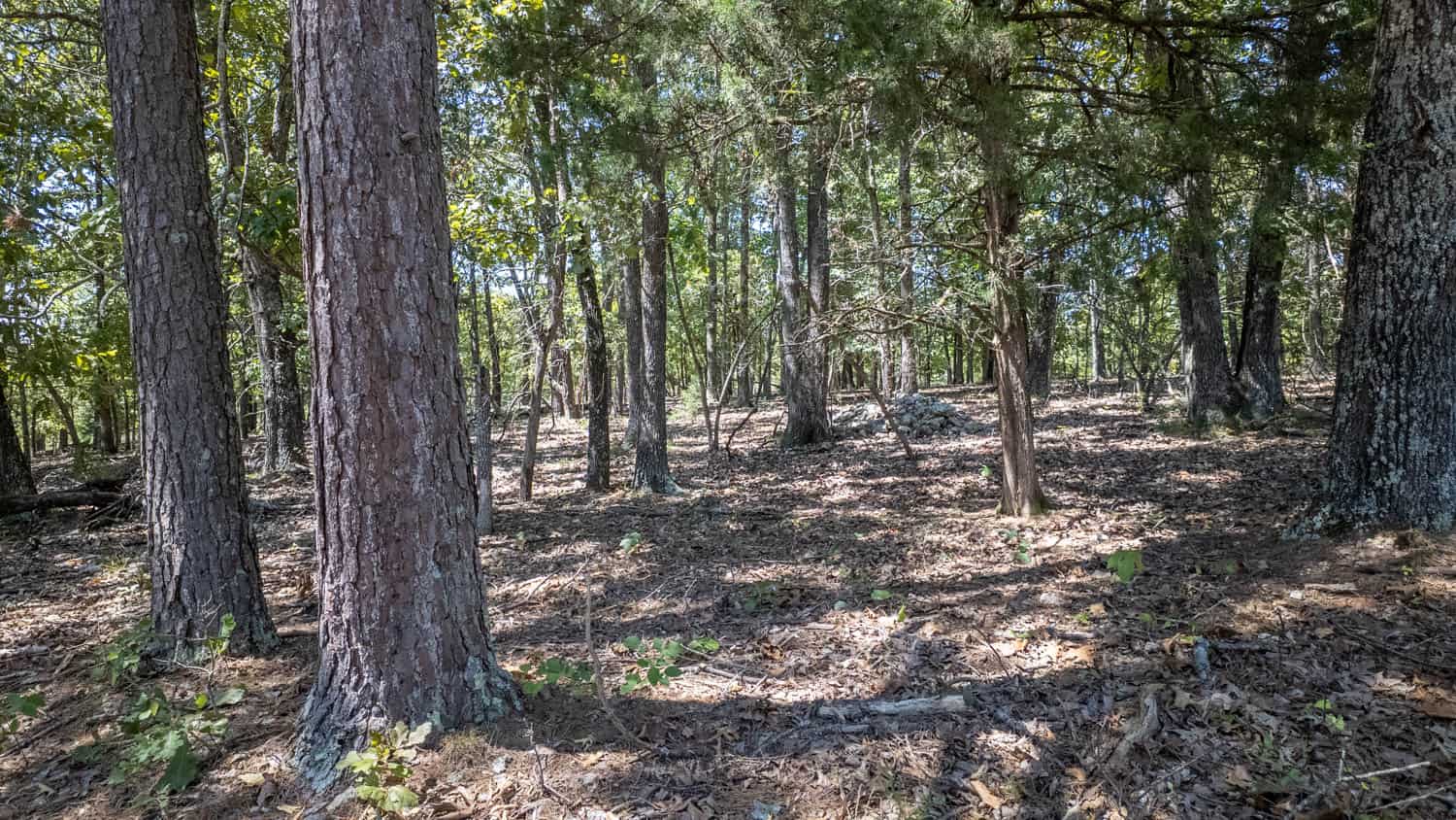 Missouri Ozarks Land for Sale