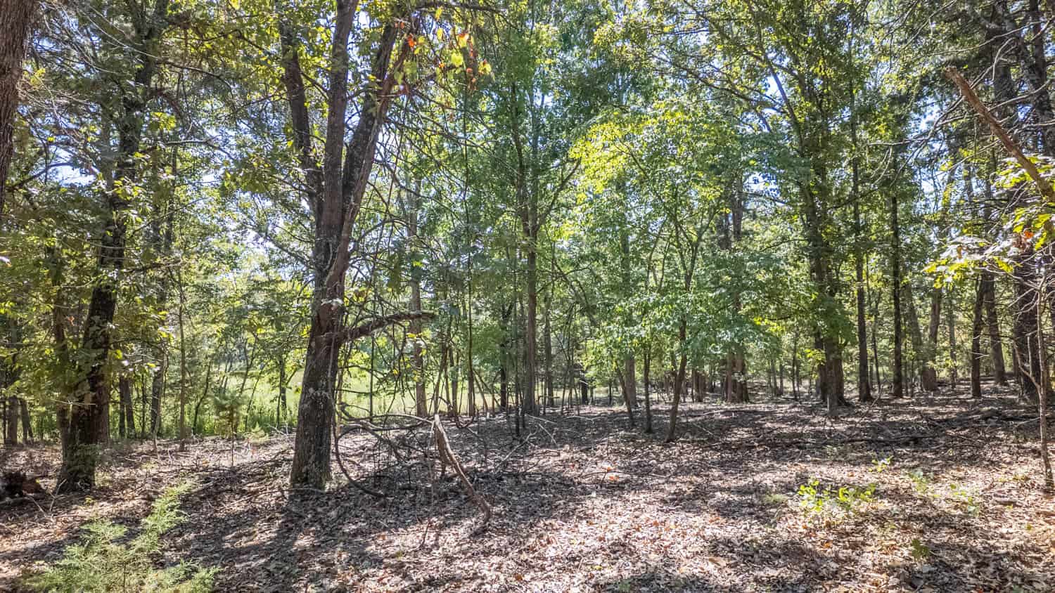 Missouri Ozarks Land for Sale