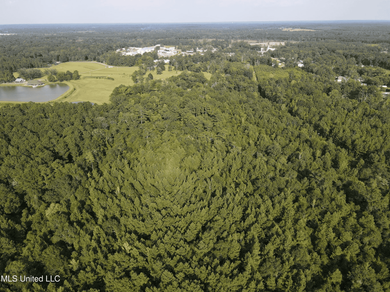 48 Acres for Sale in Jones County, MS Ellisvillle, MS
