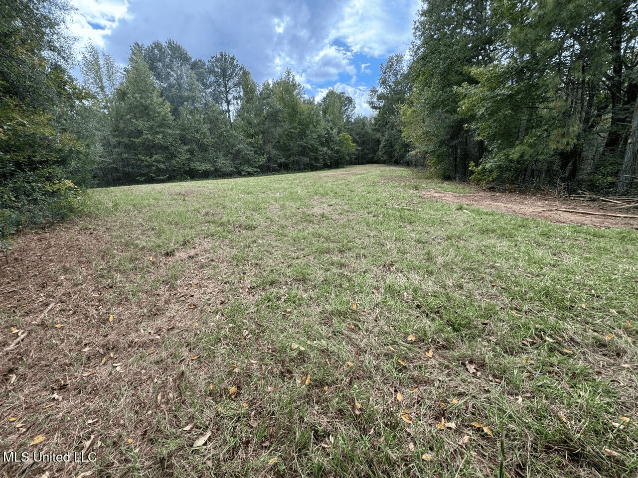 Hunting Land in Claiborne County, MS – The Sawmill 98