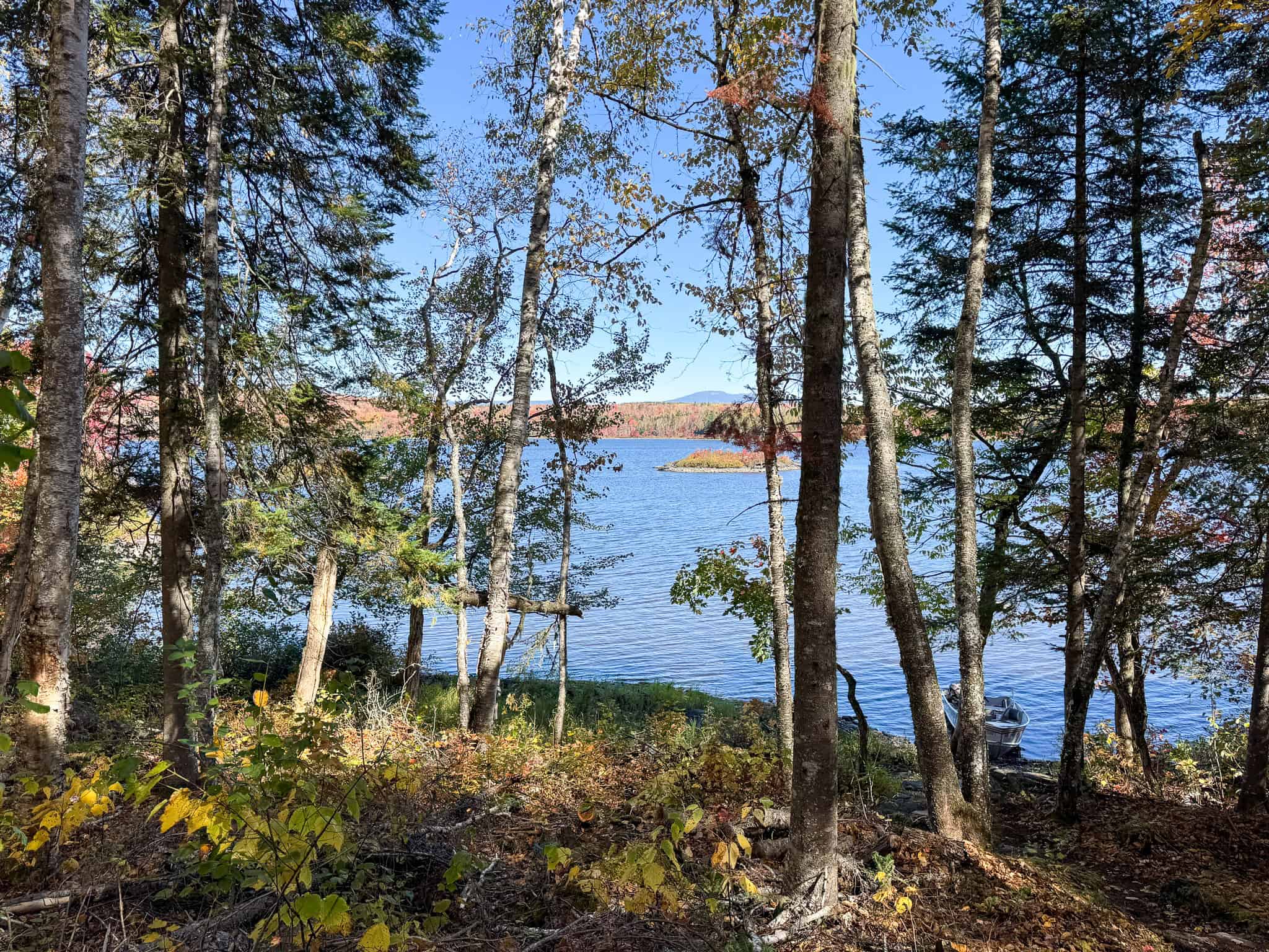 One of a Kind Off-grid Log Cabin Retreat