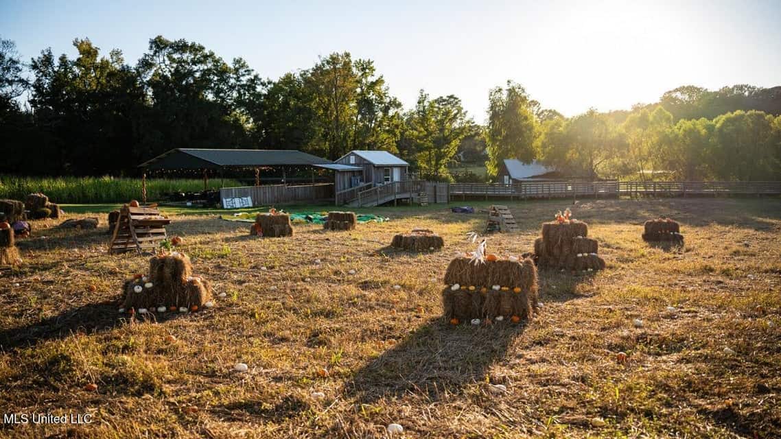 Magnolia Wilds – Premier Louisiana Investment Property for Sale