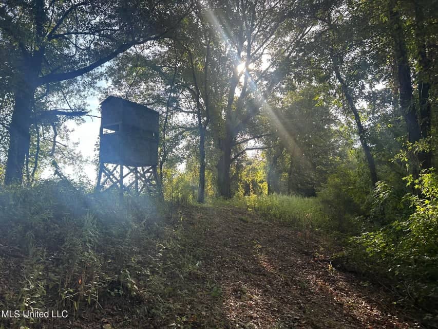 Yazoo River Hunting Tract 78.16 Acres