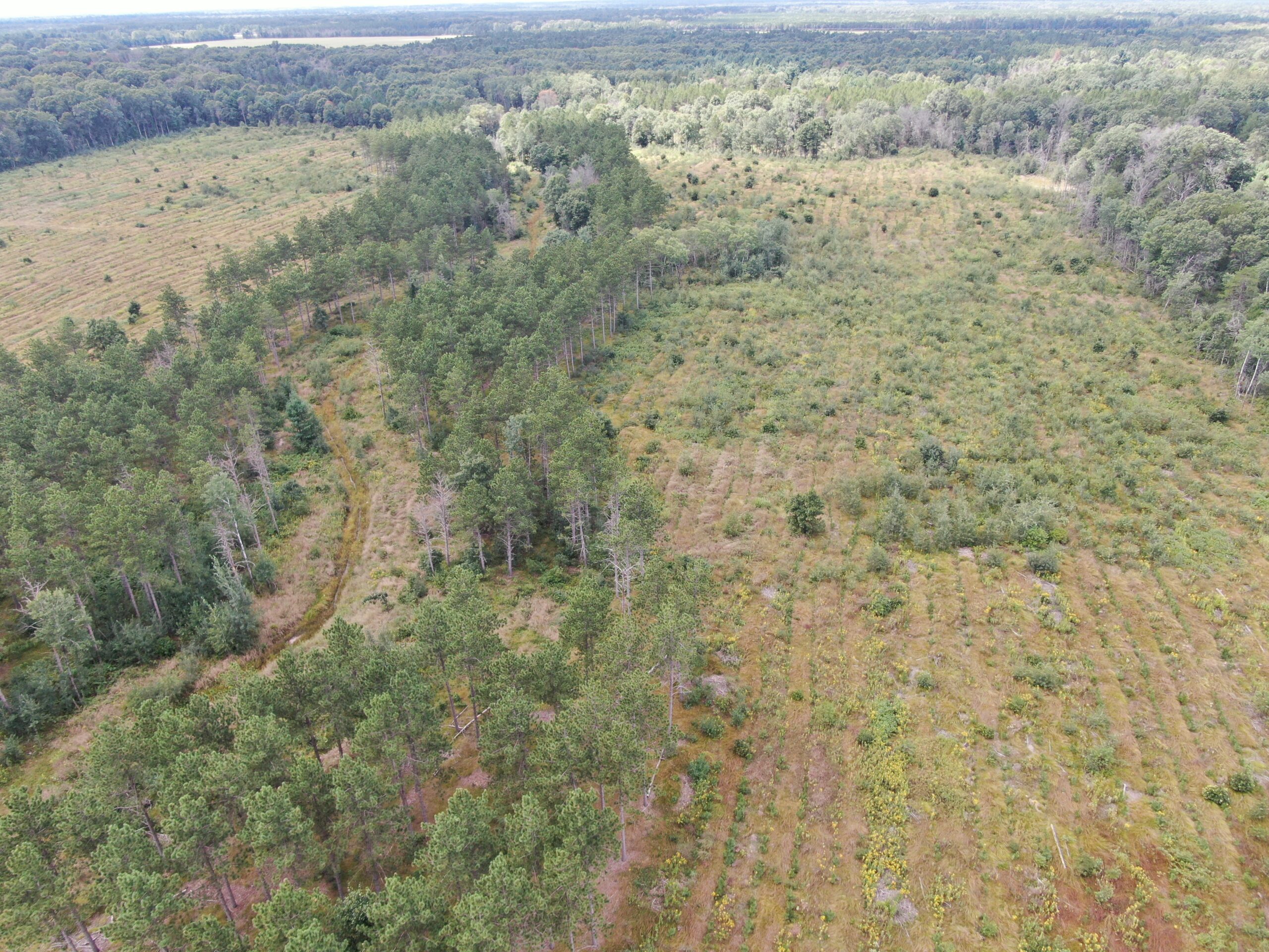 80-acre parcel in the Town of Big Flats
