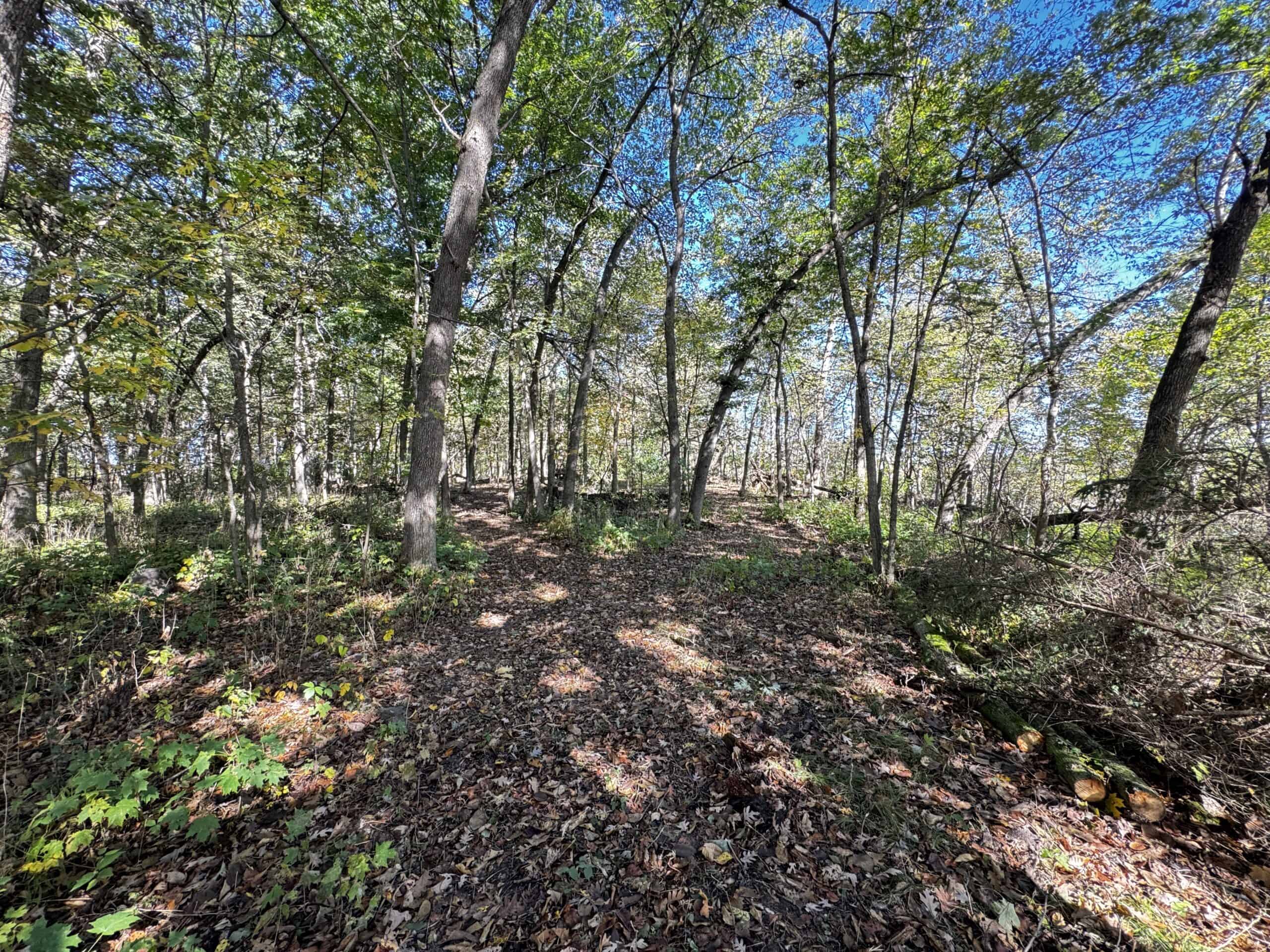 28± acre Sauk County Gem of a Property