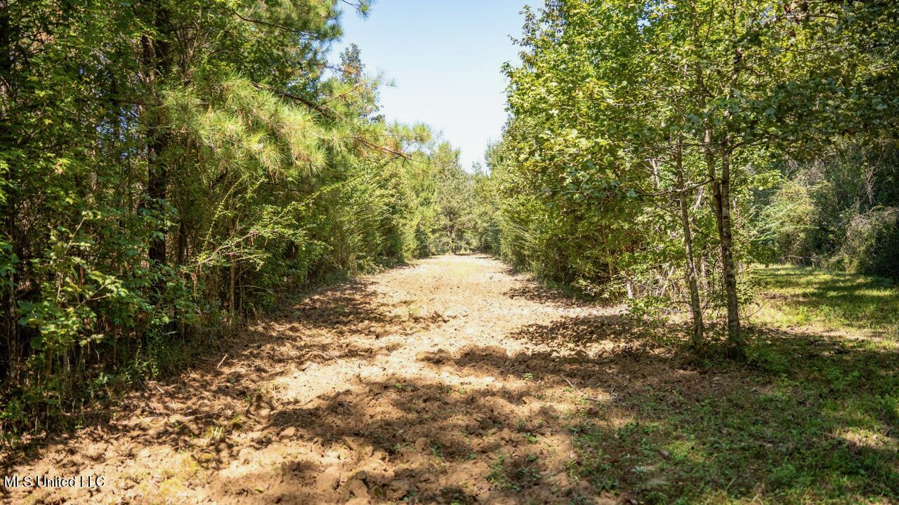 203 Acres in Smithdale MS – Turnkey Hunting Retreat