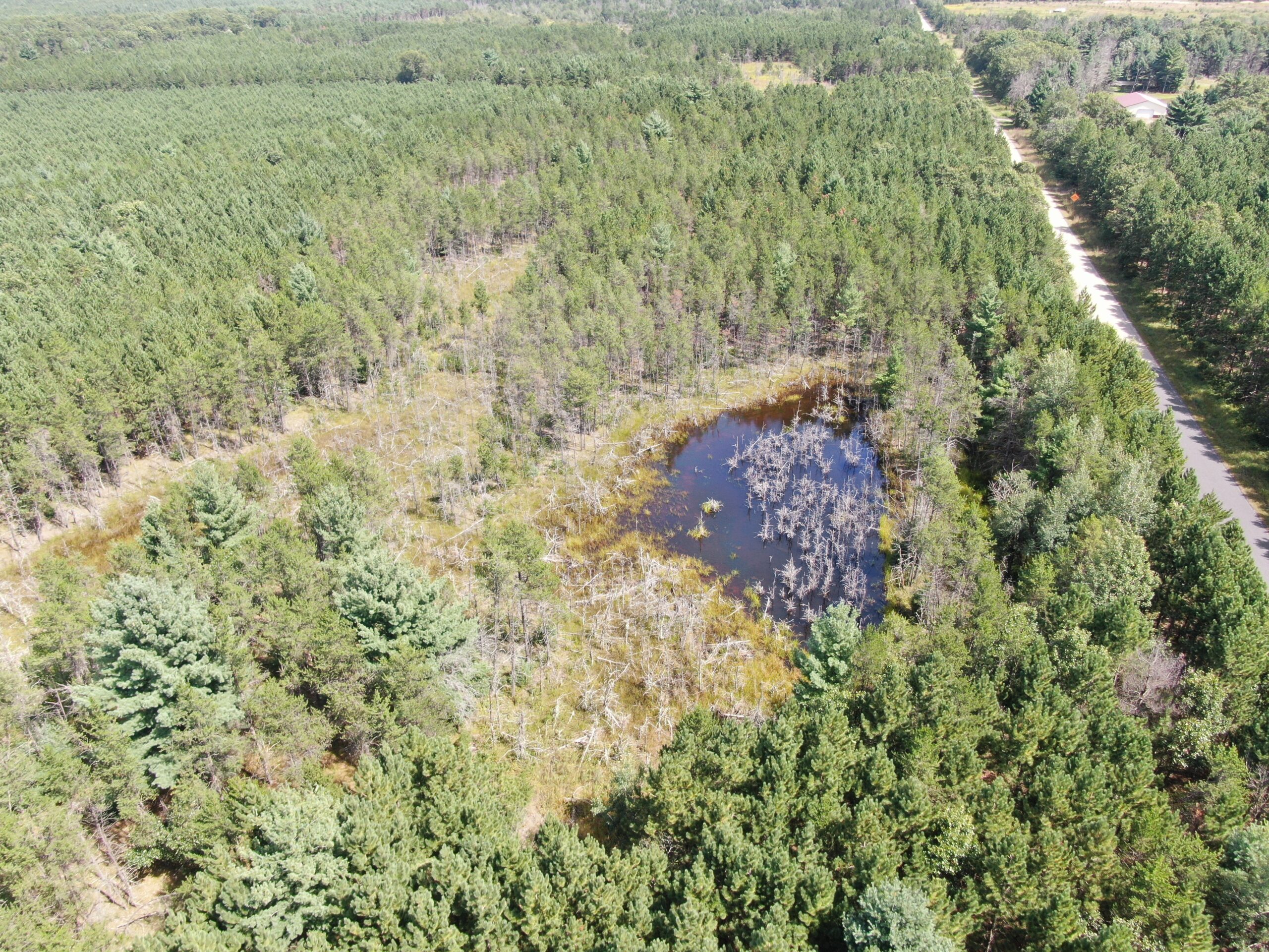 40 acres of recreational land in the Town of Monroe, Adams County