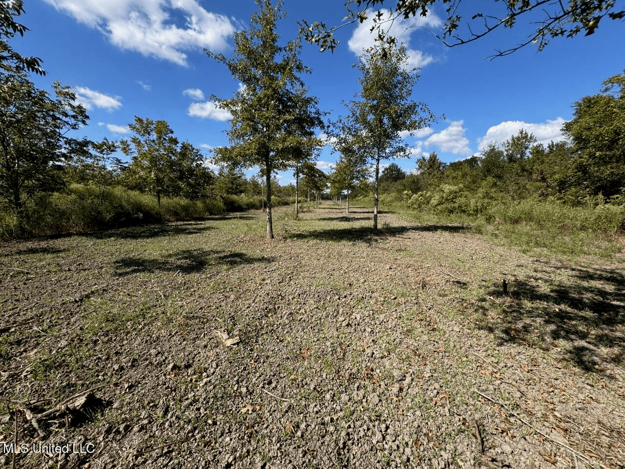 Tensas Parish Land Near Lake St. John – 80 Acres
