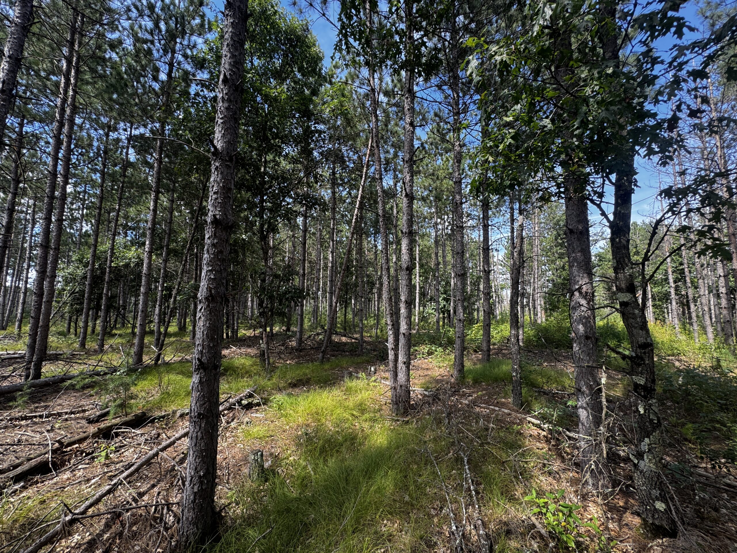 40-acre corner parcel in the Town of Monroe