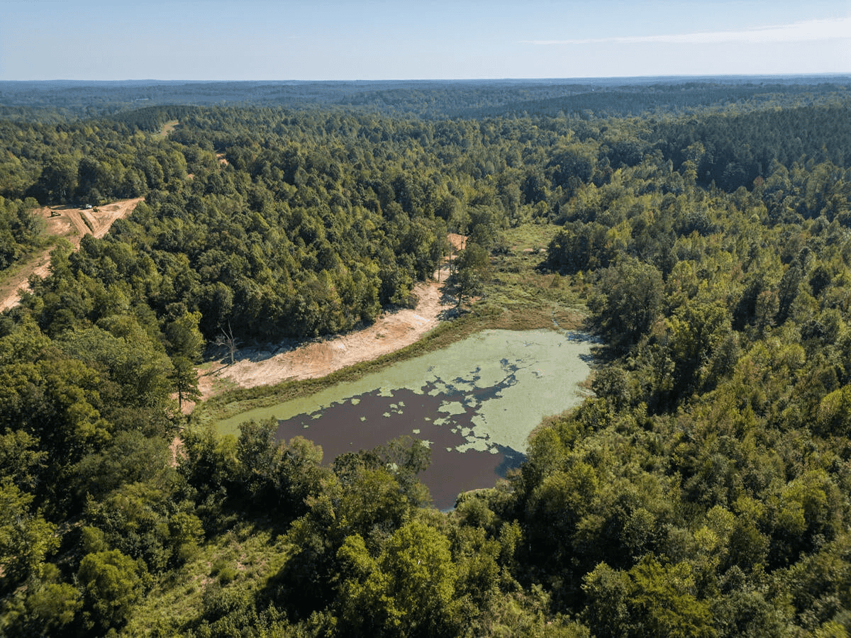 650 Acres Timberland and Lake Site Calhoun County MS