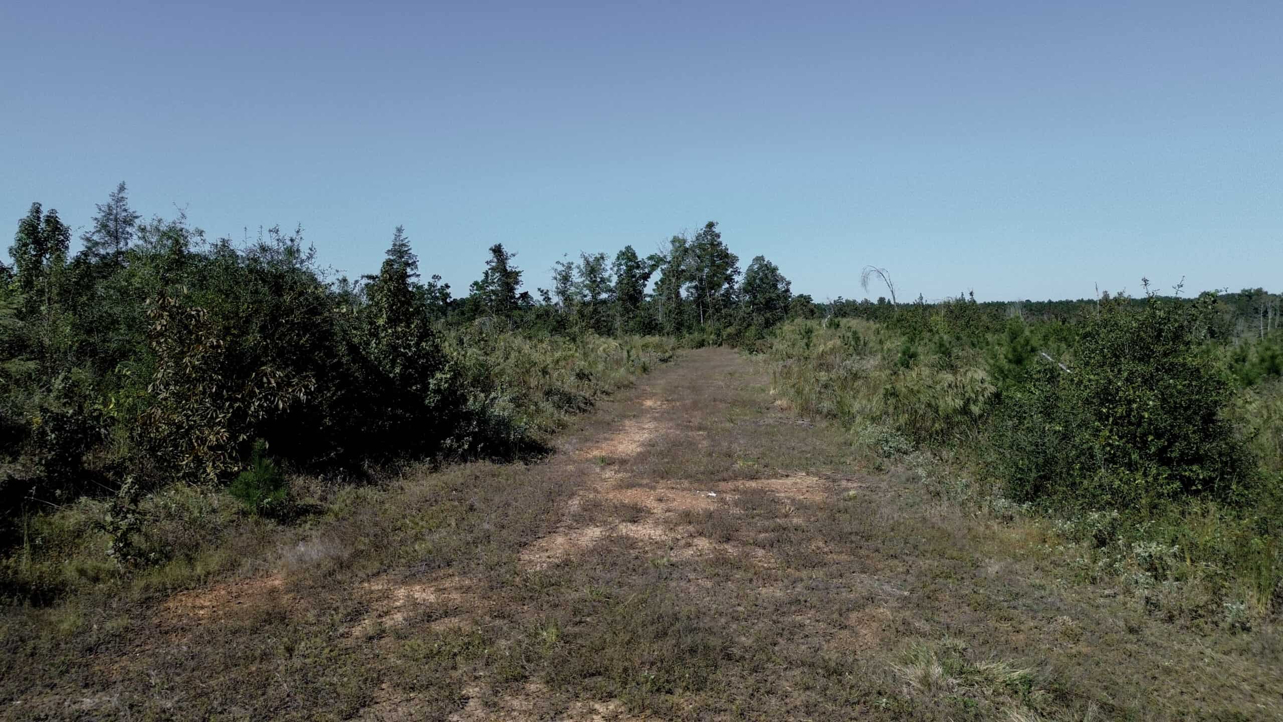 Affordable Lincoln Parish Land for Sale – Tract 4